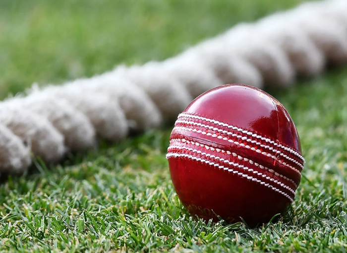 cricket ball