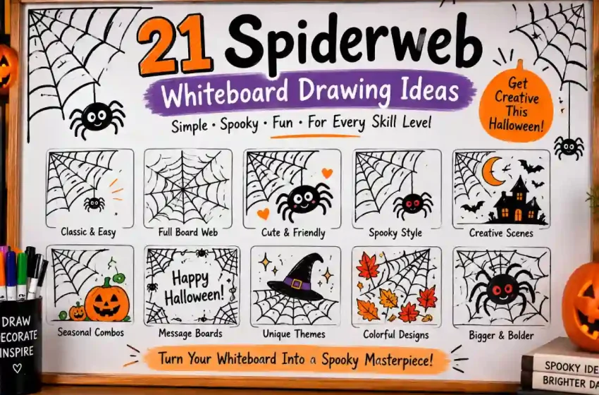  21 Spiderweb Whiteboard Drawing Ideas